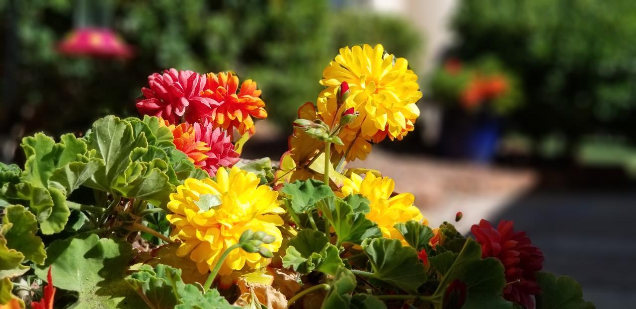 Adobe Hacienda Bed & Breakfast Sedona Ngoại thất bức ảnh